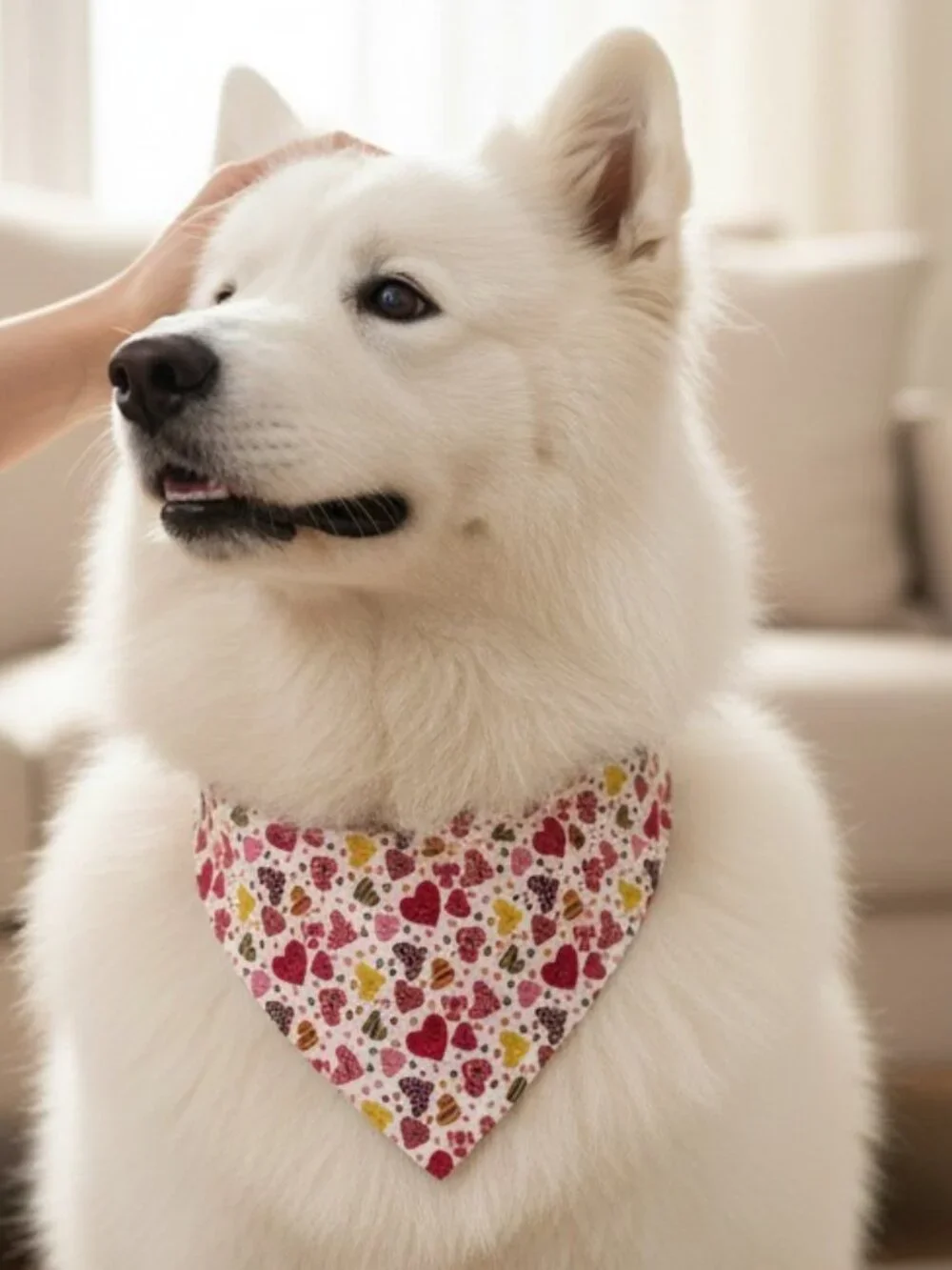 Two Pretty Dog Bandannas